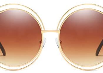 Dollger Metal Double Circle Wire Frame Oversized Round Sunglasses for Women