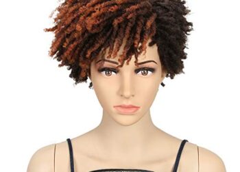 NOBLE Short Dreadlock Wigs for Black Women Ombre Red Brown Braided Wigs Synthetic Wigs for Women