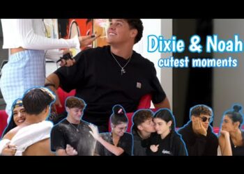 Dixie D'amelio & Noah beck | Cutest moments