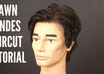 Shawn Mendes Haircut Tutorial – TheSalonGuy