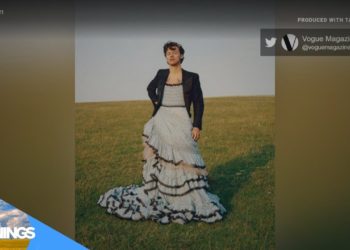 Harry Styles wears a dress for Vogue — and it's controversial