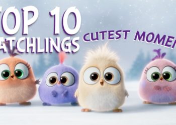 Angry Birds | Top 10 Hatchlings Cutest Moments