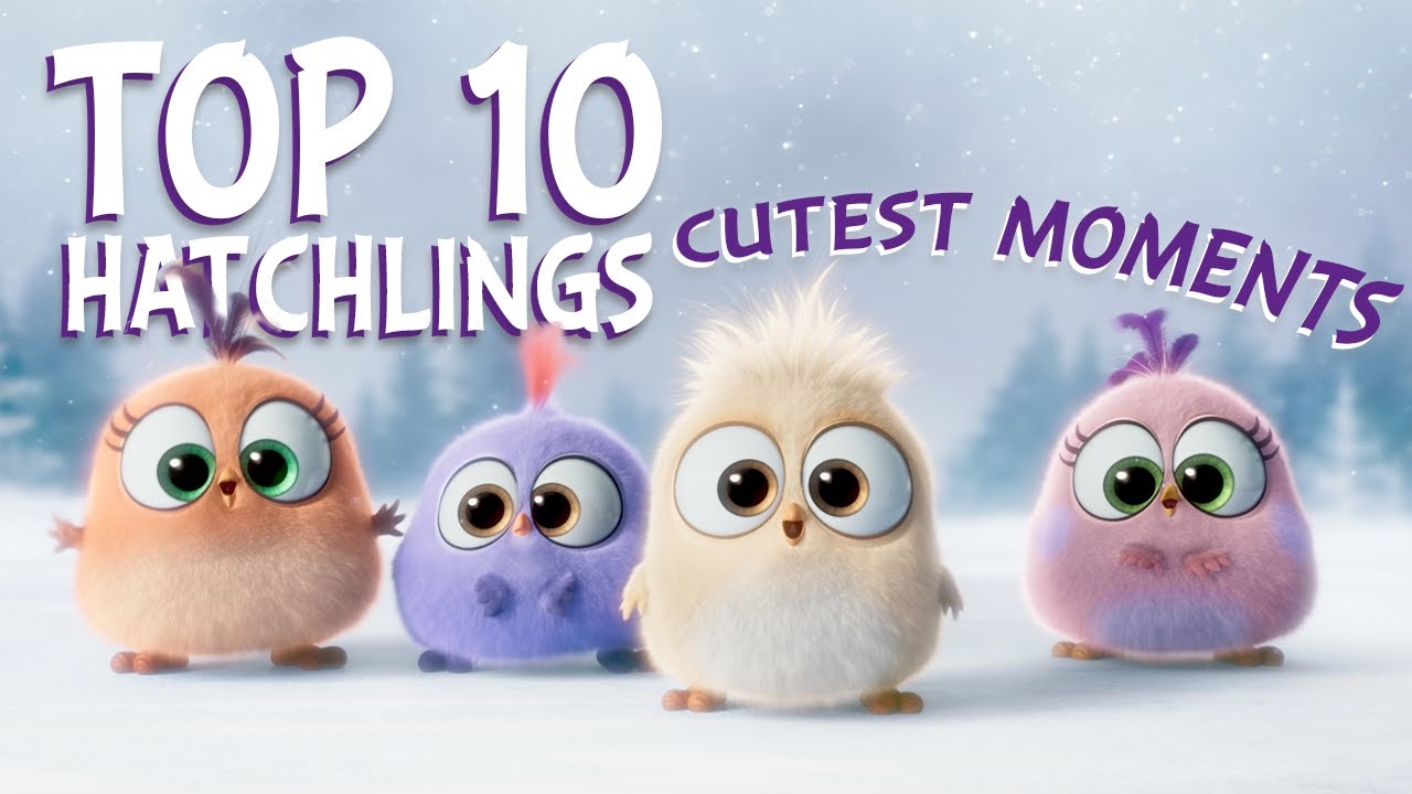 angry birds top 10 hatchlings cutest moments