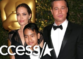 Angelina Jolie & Brad Pitt's Son Maddox Testifies Against Dad (Reports)