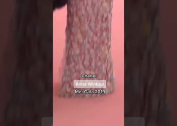 The Model VS The Celebrity Wearing It tiktok runway.momentss