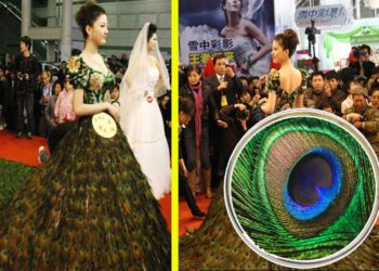 Top 10 Expensive Wedding Dresses | 84 करोड़ का लहंगा 😱