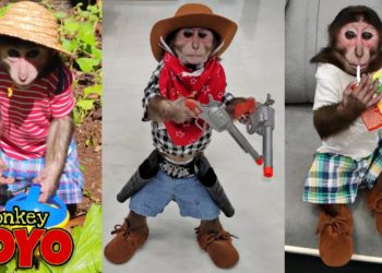 YoYo Jr's funny and cute moments