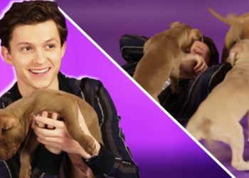 Tom Holland Plays With Puppies While Answering Fan Questions