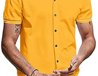 Zuoyouzi Men’s Casual Short Sleeve Button Down Shirts Turn Down Collar Striped Regular Fit Summer Beach Shirt