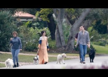 Camila Cabello with Shawn Mendes and with her parents today in Miami with their dogs🖤