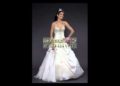 Inexpensive Celebrity Wedding Dress 2012 Spring 287