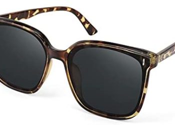FEISEDY Women Oversized Vintage Square Polarized Sunglasses Trendy Classic Simple Chic Men B2758