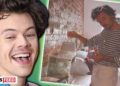 Harry Styles HANGS OUT At Fan's House After His Car Breaks Down