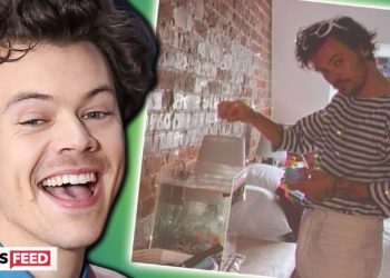 Harry Styles HANGS OUT At Fan's House After His Car Breaks Down