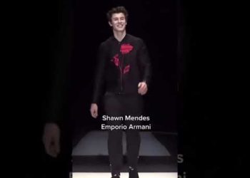 celebrities on the runway ft zendaya shawn mendes #shorts
