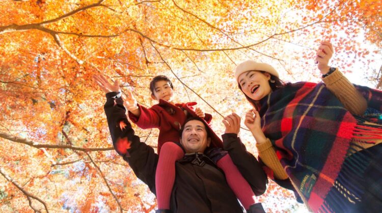 5 Tips to Make the Most of This Fall Season